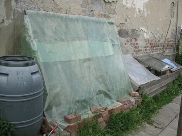 IMG_0578.JPG