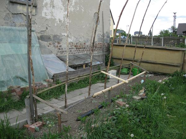 IMG_0579.JPG