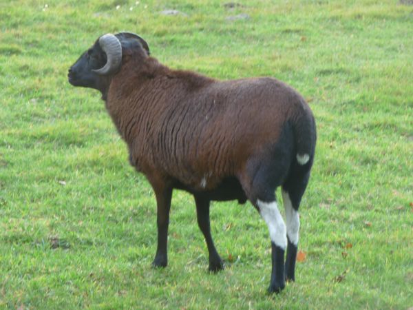 Bustamante4.jpg