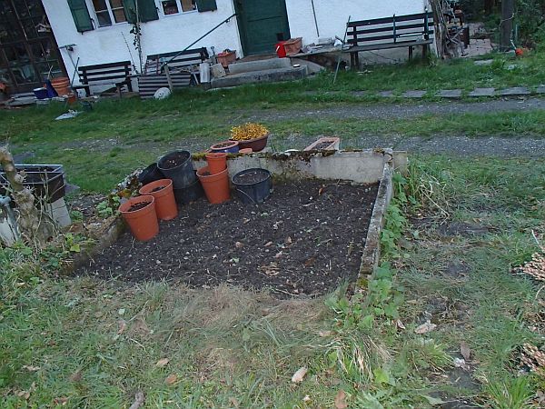 neues altes beet.jpg