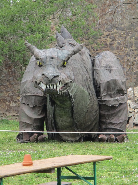 Besondere Tiere-Feuerdrachen...Bei dem nassen Wetter ohne Feuer!