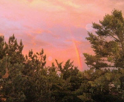 PICT0001.JPG