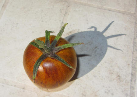 Tomate.jpg