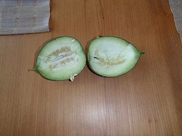 freilandmelone.jpg