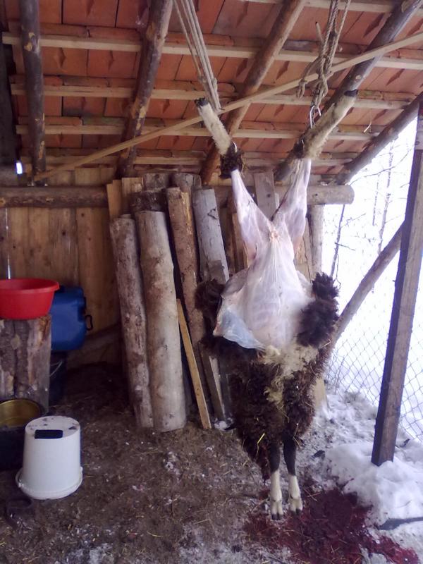 K800_03122010029.JPG