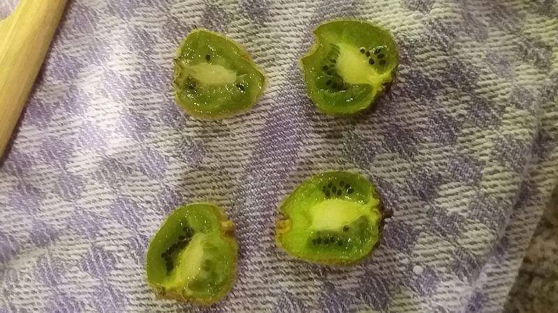 k-kiwi2.jpg
