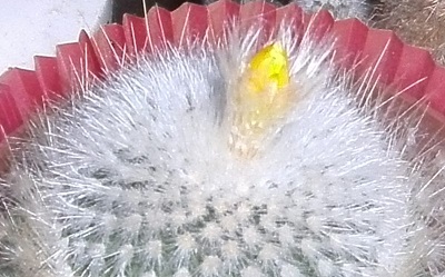 PICT0015.JPG