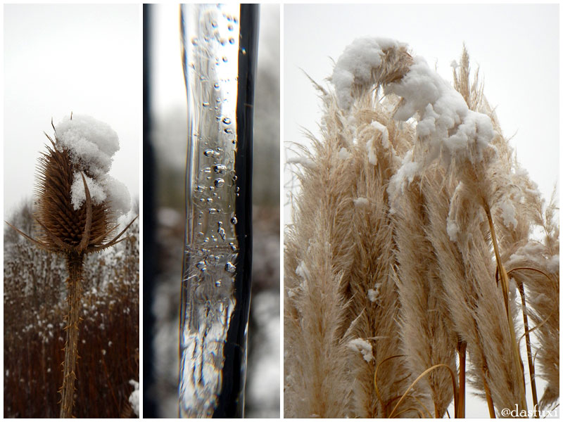 Winterimpressionen aus der Strebergartenanlage