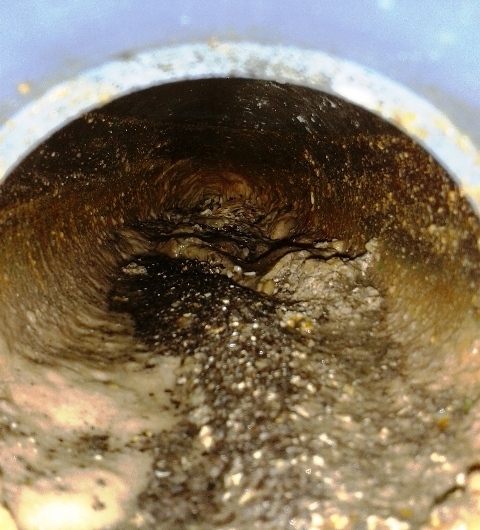 20170604_133644.jpg