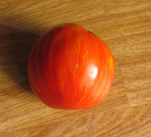 Flaschentomate_gestreift.jpg
