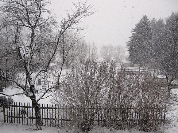 winter1.jpg