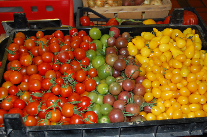 2016 09 Tomaten kleine kle.jpg