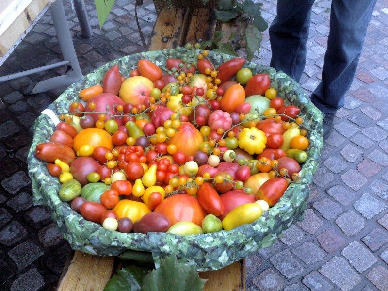 Tomatenkorb