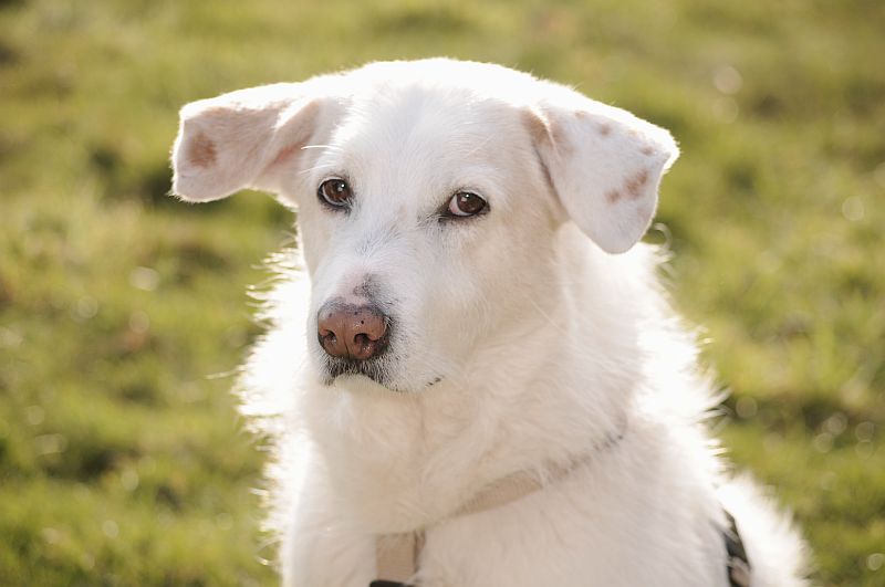 Edit: Am Mittwoch nach Ostern sah die Welt schon wieder freundlicher aus...