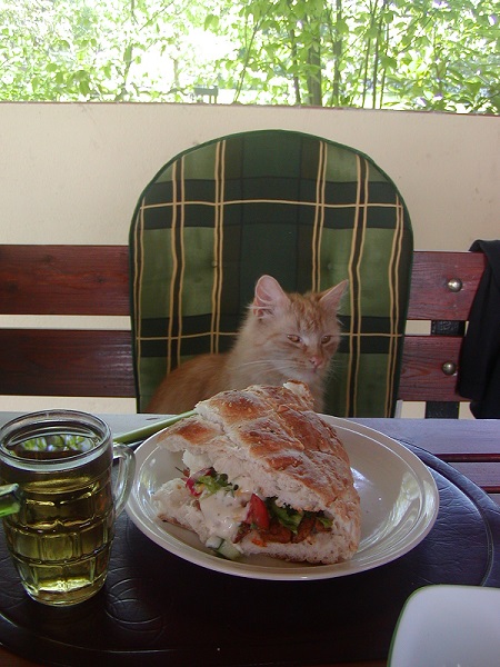 Kann ich jetzt anfangen?