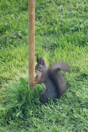 IMG_1260 - Kopie.JPG