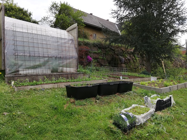 IMG_20190427_123116 .jpg