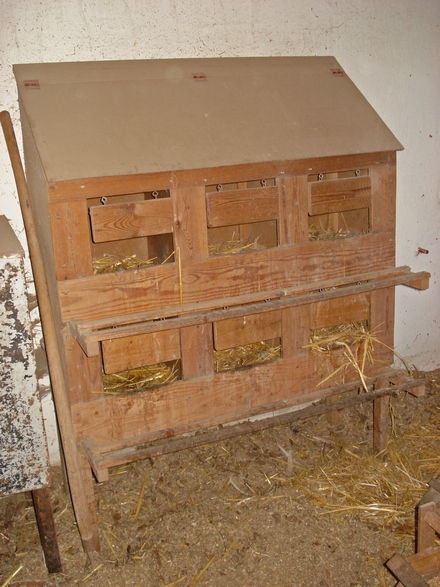 Unsere Legenester, in die täglich 6-8 Eier von 10 Hühnern gelegt werden. Die Legenester sind natürlich selber gebaut.