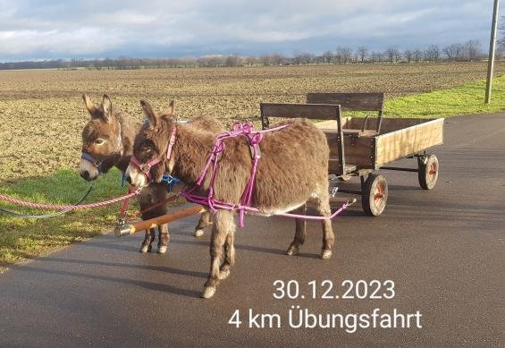 Kutsche.jpeg