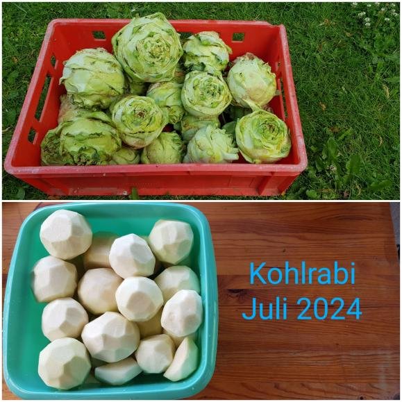 Ernte4.jpeg