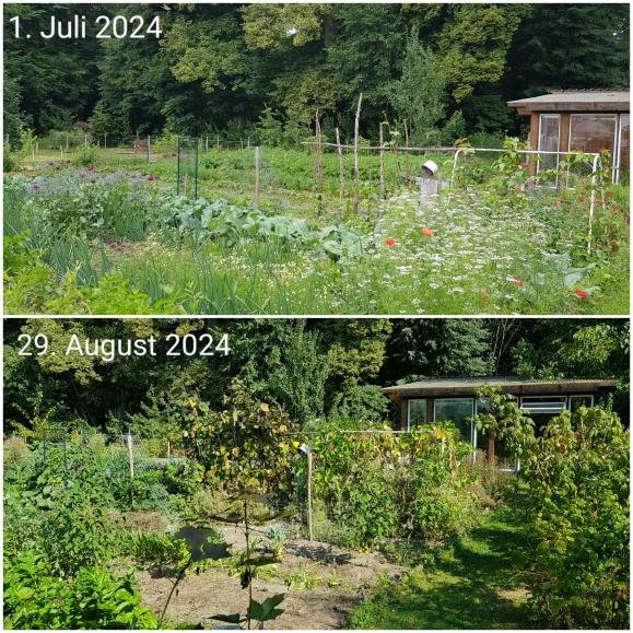 Garten24.jpeg