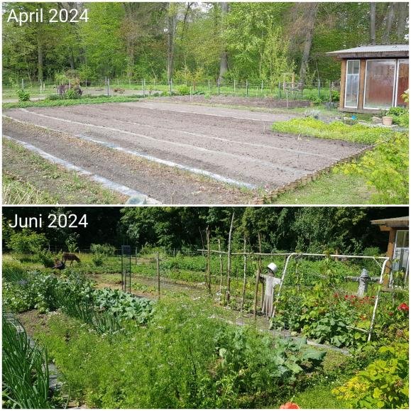 Garten24-1.jpeg