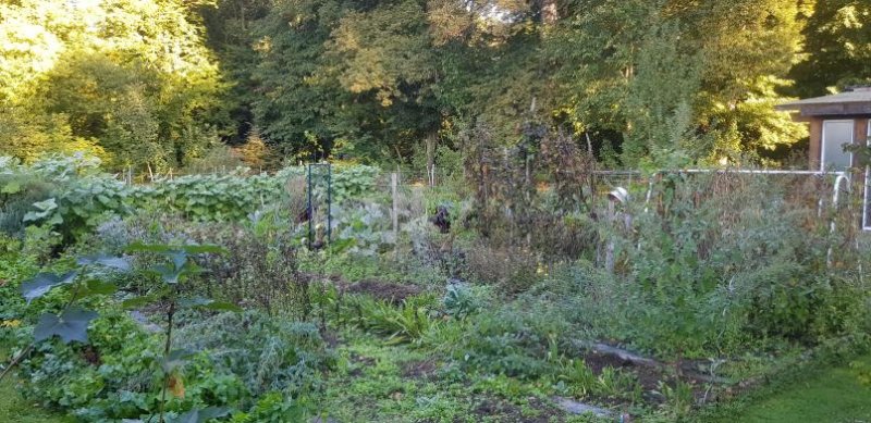 Garten-10-24.jpeg