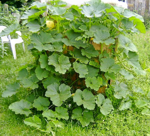 Bild 031.jpg