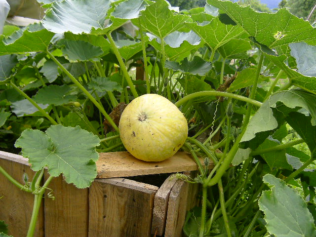 Bild 033.jpg