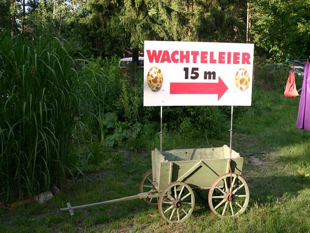 k-Bollerwagen2.JPG