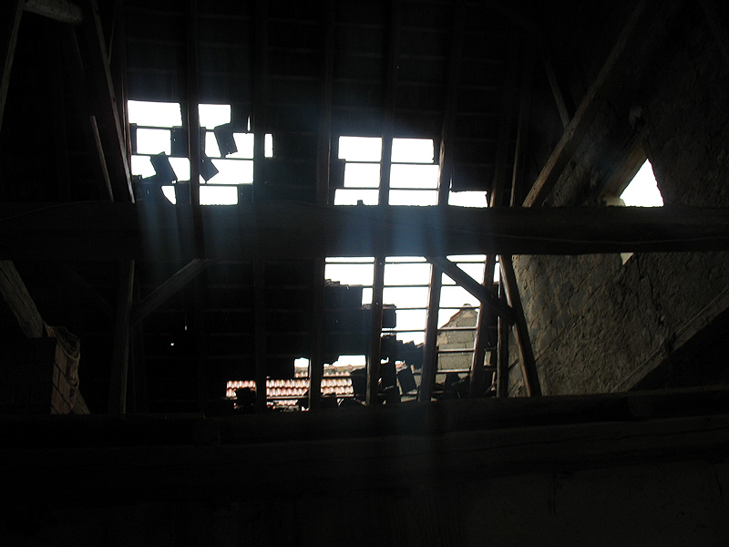 IMG_5614.jpg