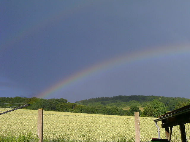 Bild 016.jpg