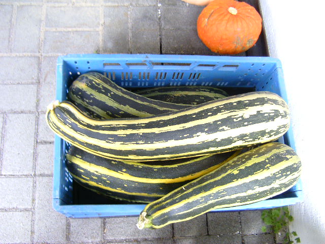 BILD2228.JPG