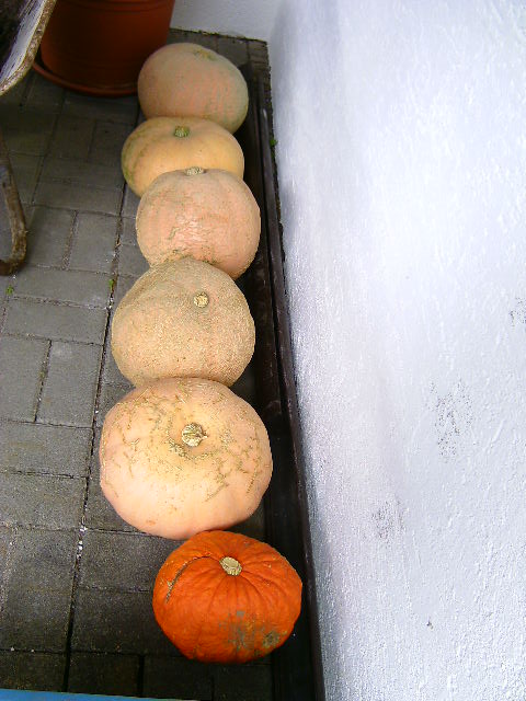 BILD2227.JPG