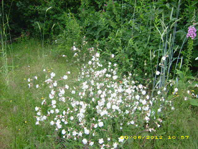 Bild 073.jpg