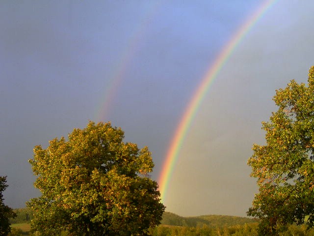 BILD2256.JPG