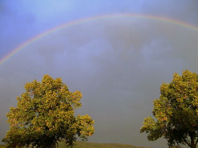BILD2249.JPG