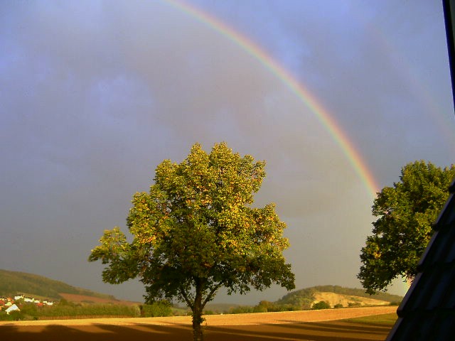 BILD2252.JPG