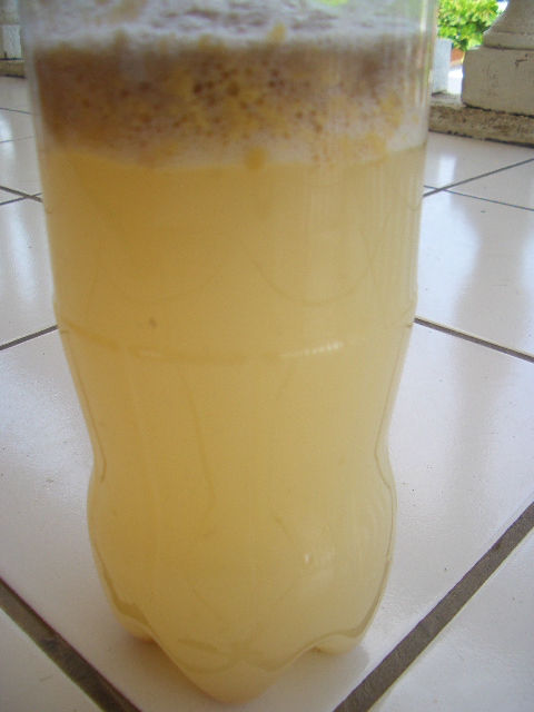 CIMG0539.JPG