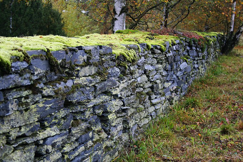 Trockenmauer.jpg