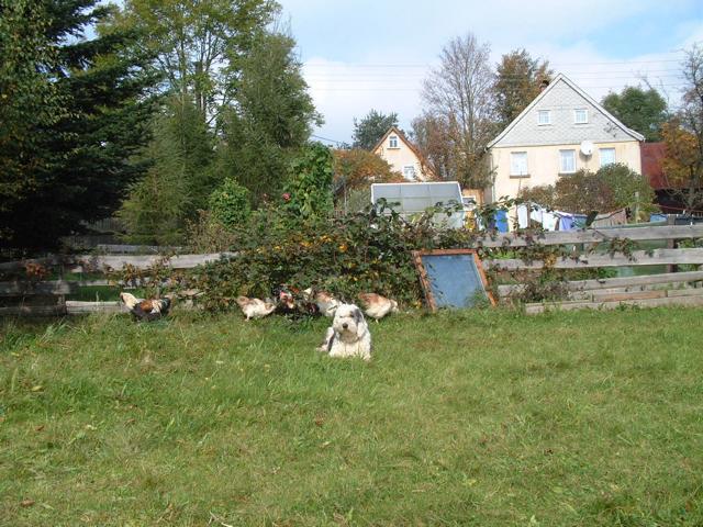 K640_20071007_01.JPG