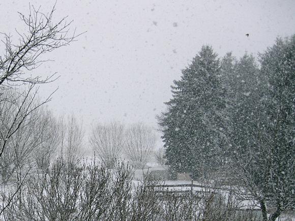 winter2.jpg