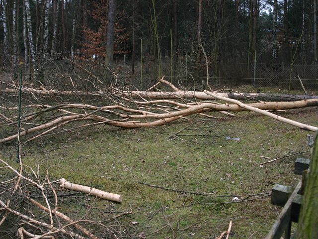 k-IMG_6792.JPG