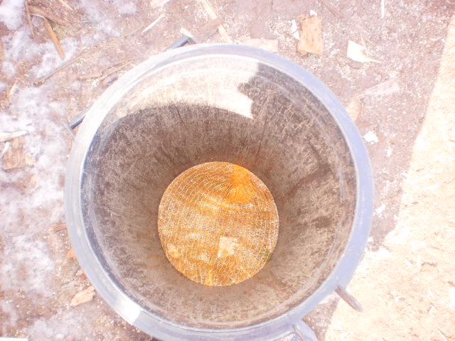 P3250002.JPG