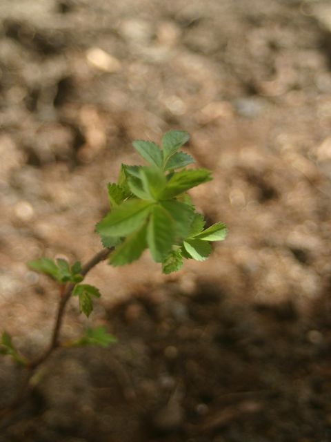 k-IMG_7289.JPG