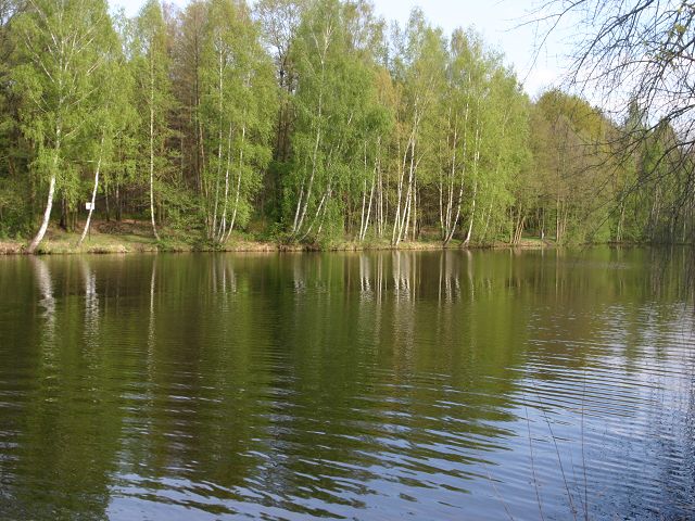 k-IMG_7718.JPG
