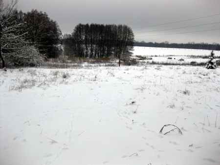 bild1red.jpg