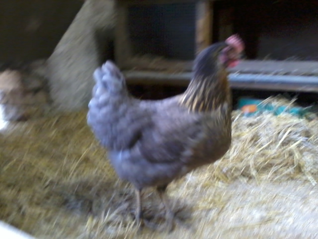 2013-05-13 16.35.41.jpg