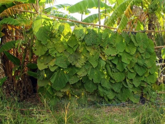 sanit.outdoor3.jpg