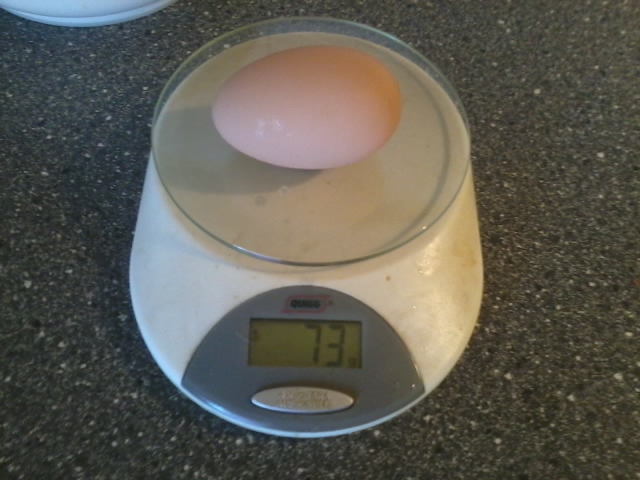 2013-06-05 11.14.18.jpg